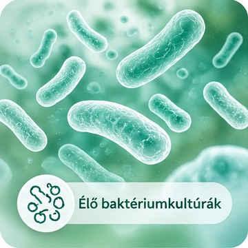 Baktériumkultúrák közeli képe