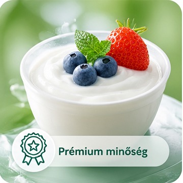Joghurt gyümölcsökkel